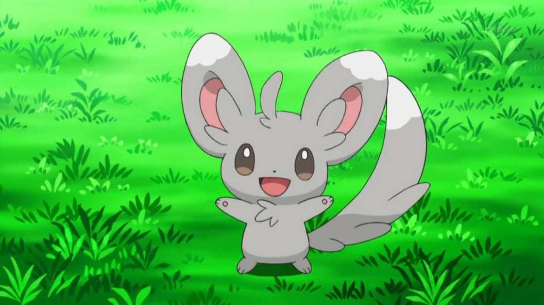 Beautiful pokemon Beautiful pokemon