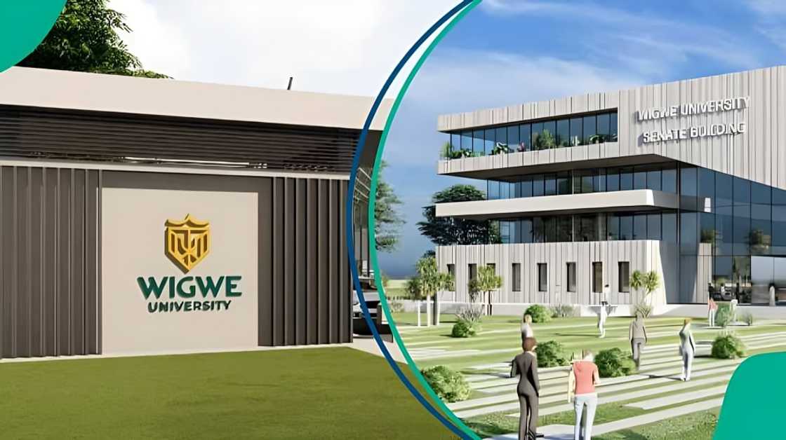 Wigwe University publishes tuition fees for new academic session
