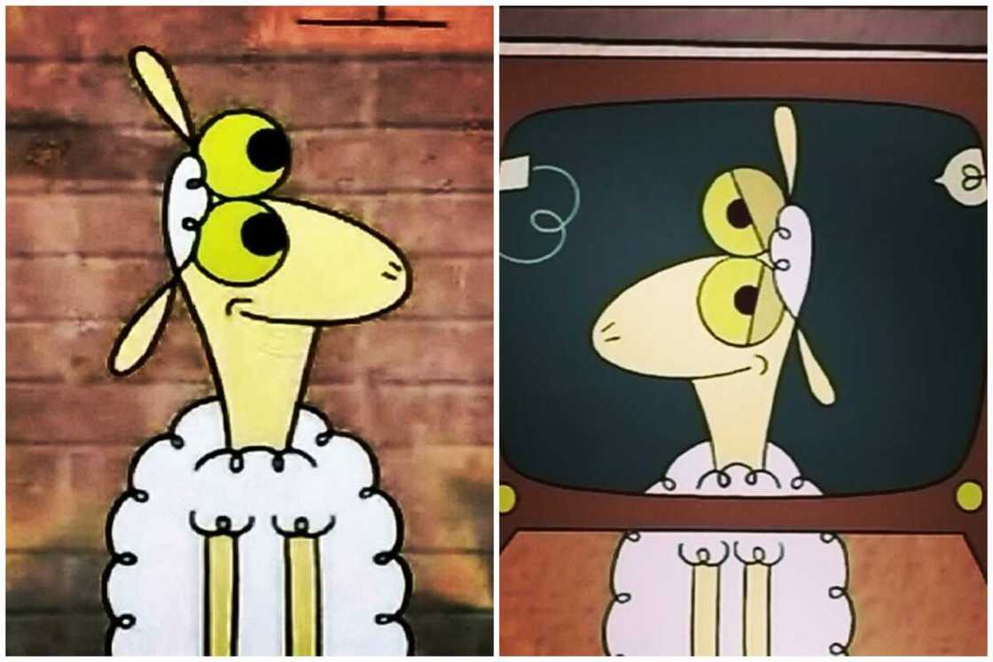 old 2000s cartoons old 2000s cartoons