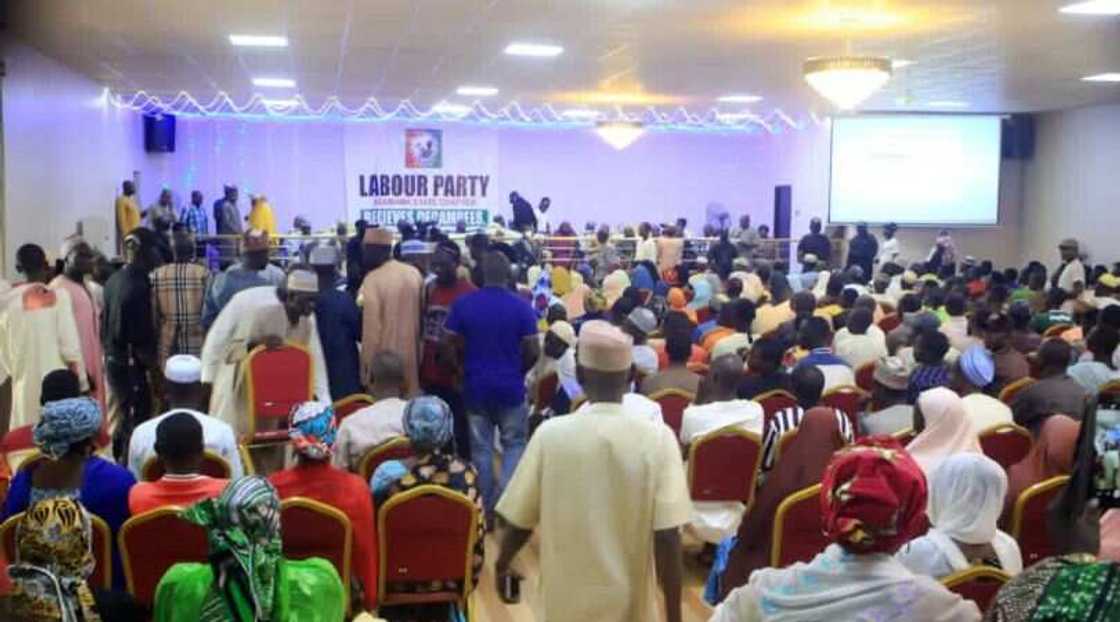 LP in Yola LP in Yola