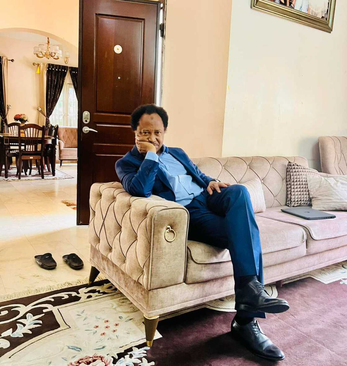 Former Kaduna Central Senator, Shehu Sani, 2023 presidential election, PDP, Bola Tinubu, Peter Obi, Rabou Kwankwaso, Atiku Abubakar