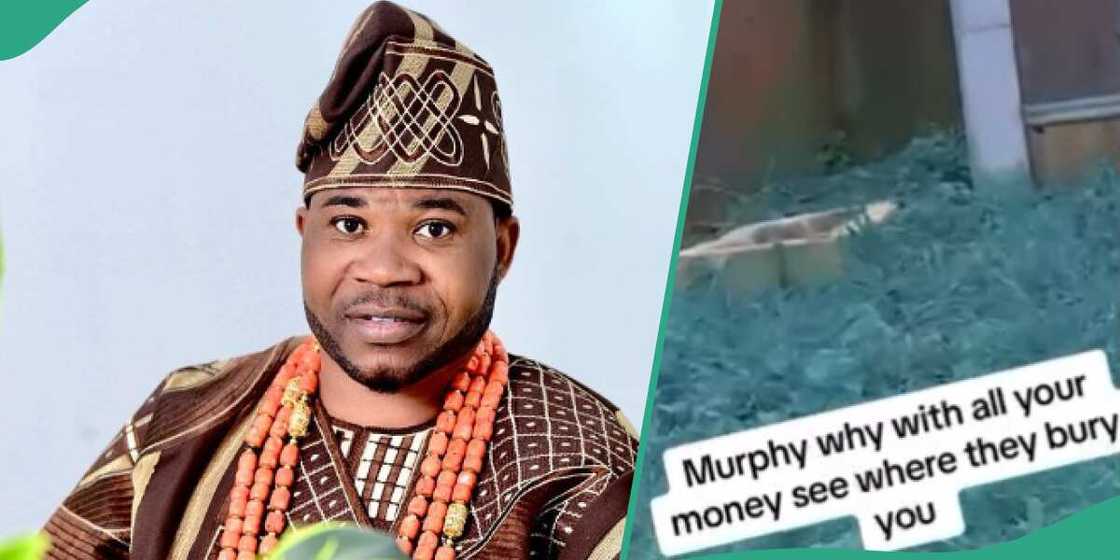 Actor Murphy Afolabi's grave causes stir. Actor Murphy Afolabi's grave causes stir.