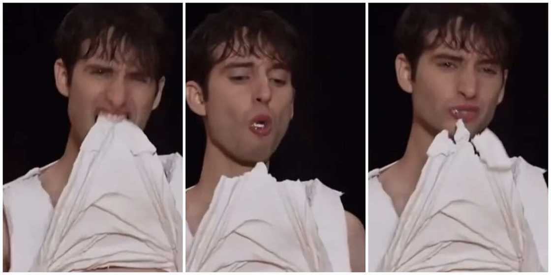 Model/chocolate shirt Model/chocolate shirt