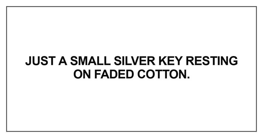 Just a small silver key