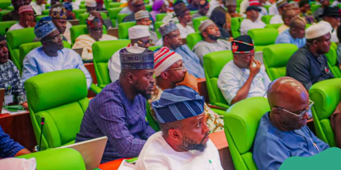 Reps reject bill seeking six years single tenure for President, Governors and LG Chairmen/person