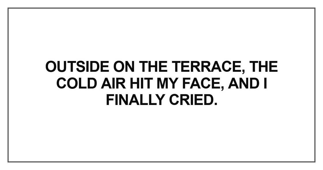 Outside on the terrace, the cold air hit my face, and I finally cried Outside on the terrace, the cold air hit my face, and I finally cried