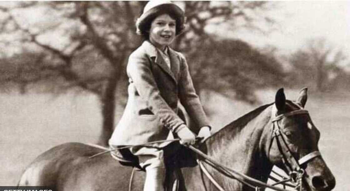 Queen's Horses/Queen Elizabeth II's properties/King Charles Inheritance Queen's Horses/Queen Elizabeth II's properties/King Charles Inheritance