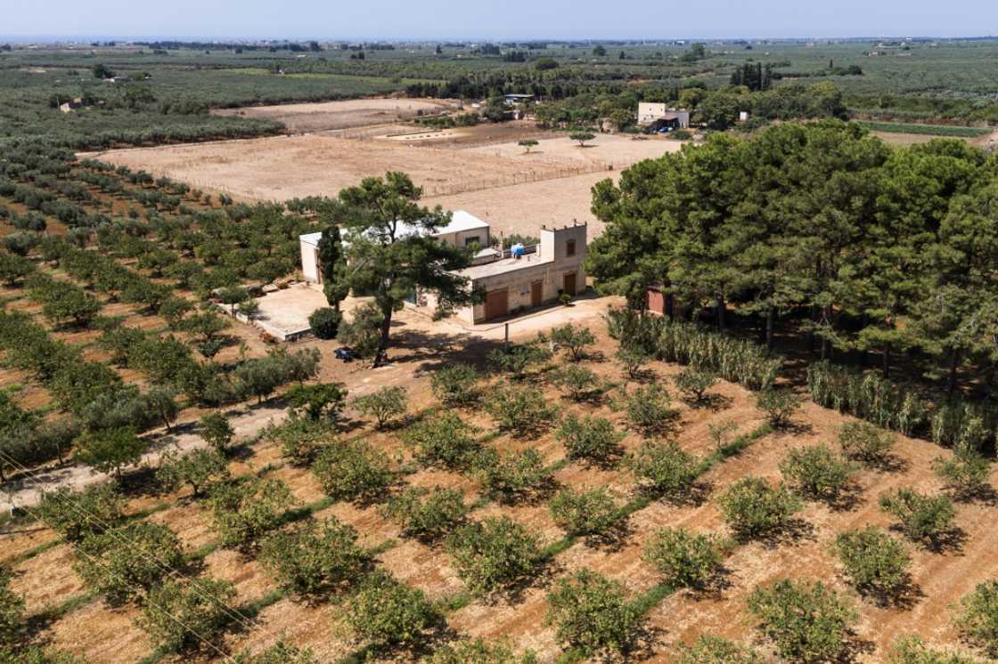 Local farmers say decades of incompetent water management has led to a situation in which they can't use rainwater from reservoirs Local farmers say decades of incompetent water management has led to a situation in which they can't use rainwater from reservoirs
