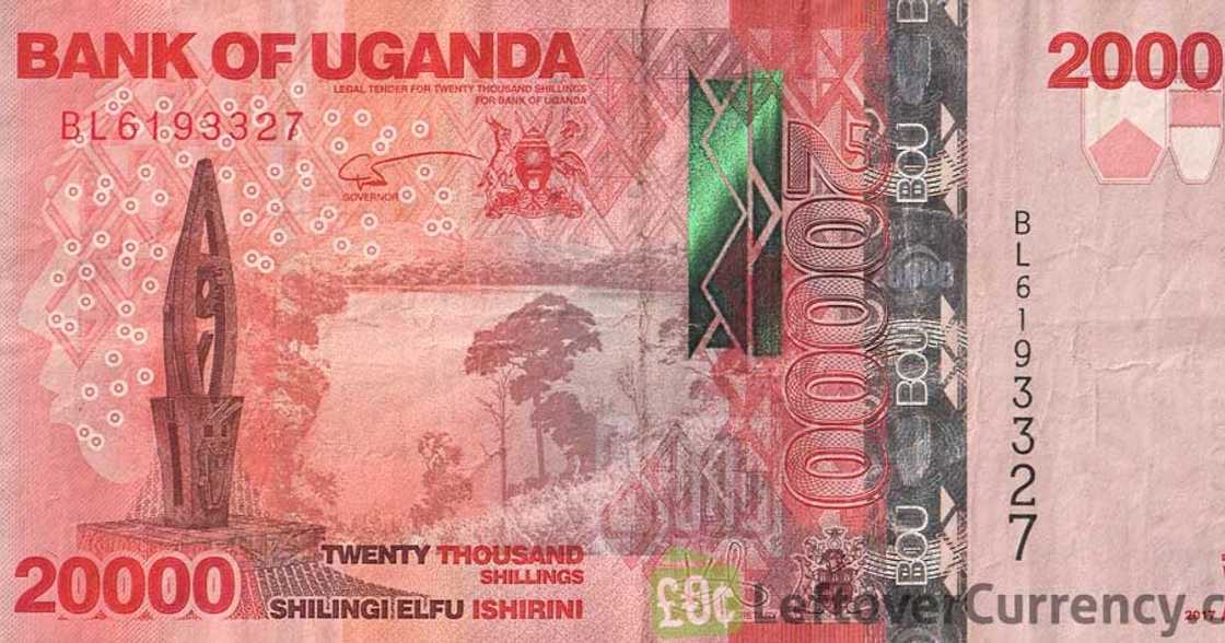 Lady shares her experience after a man gave her 20k Ugandan shillings for spending weekend at his house.