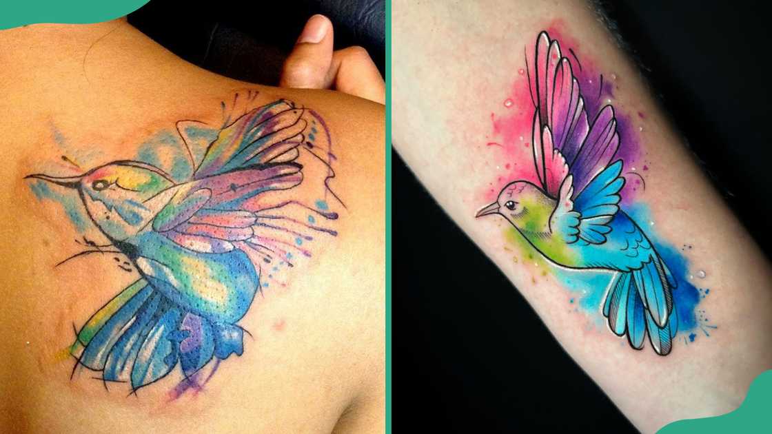 Watercolour hummingbird tattoo Watercolour hummingbird tattoo