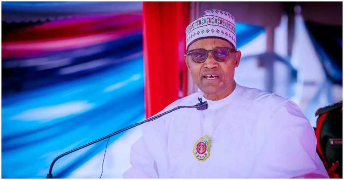 Buhari/Buhari news/Buhari news today Buhari/Buhari news/Buhari news today