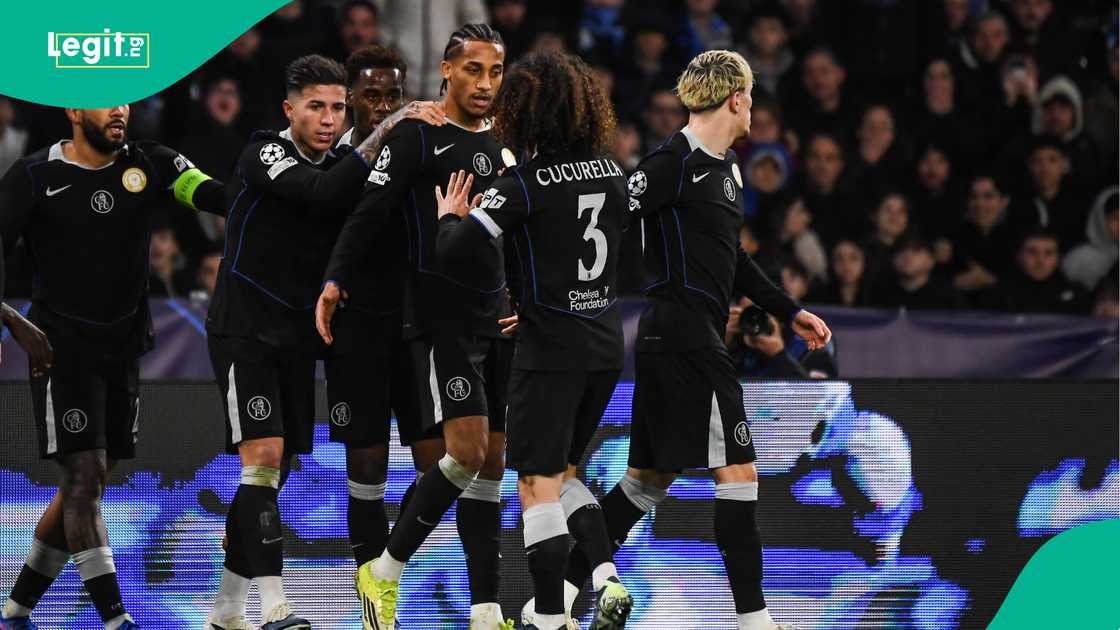 Enzo Fernandez, Marc Cucurella, Joao Pedro, Chelsea, UEFA Champions League.