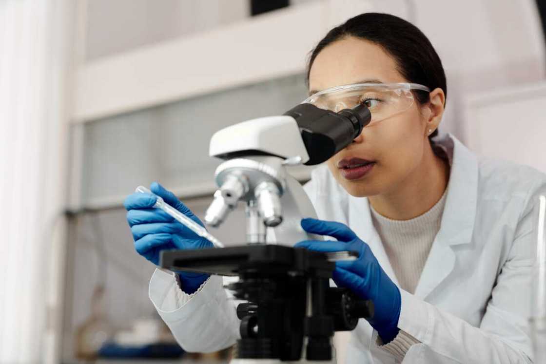 how much is the cost of dna test in nigeria how much is the cost of dna test in nigeria
