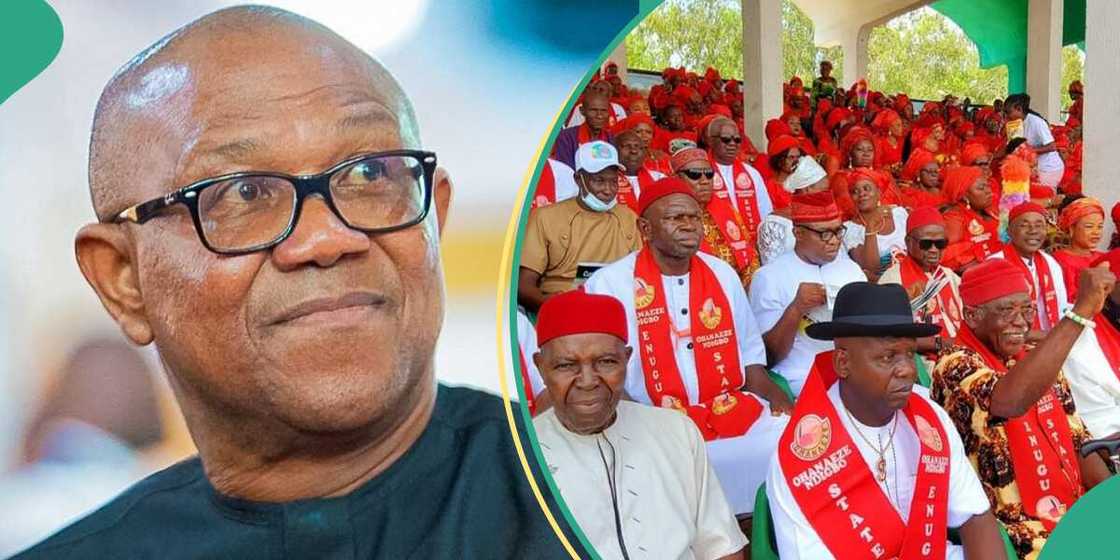 2027: Peter Obi warned against northern connections