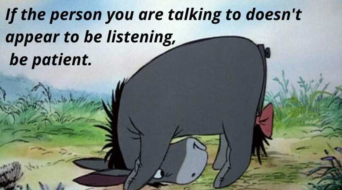 donkey from winnie the pooh donkey from winnie the pooh