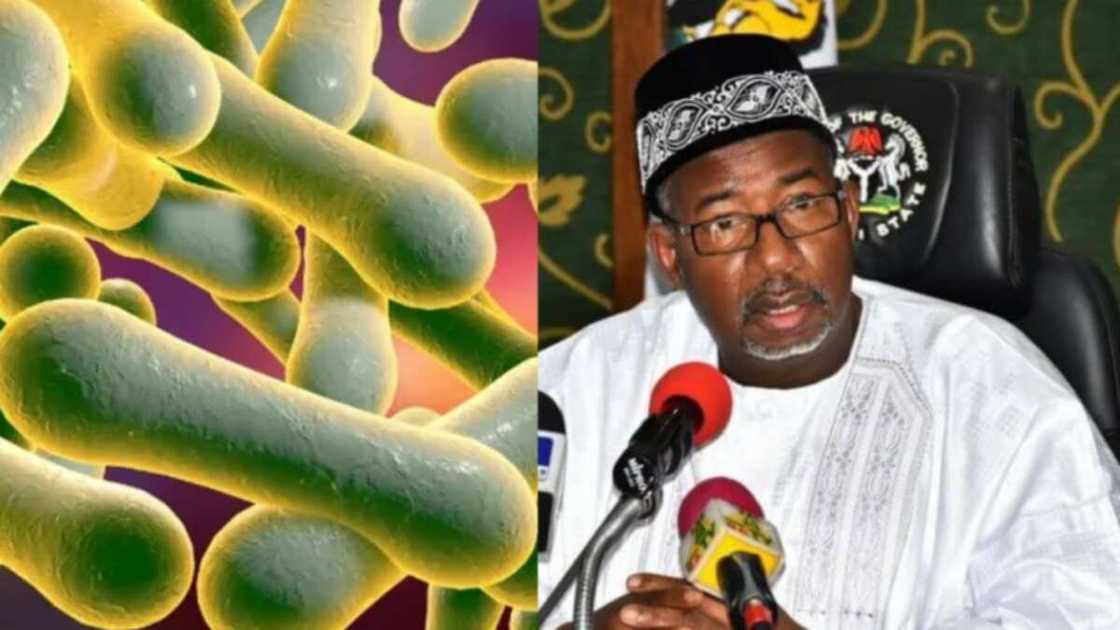 An kulle makarantu a Bauchi saboda Mashako An kulle makarantu a Bauchi saboda Mashako