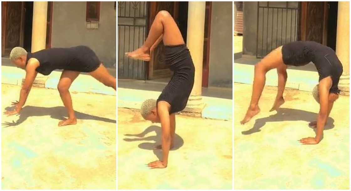 Miss Petal, lady's acrobatic moves. Miss Petal, lady's acrobatic moves.