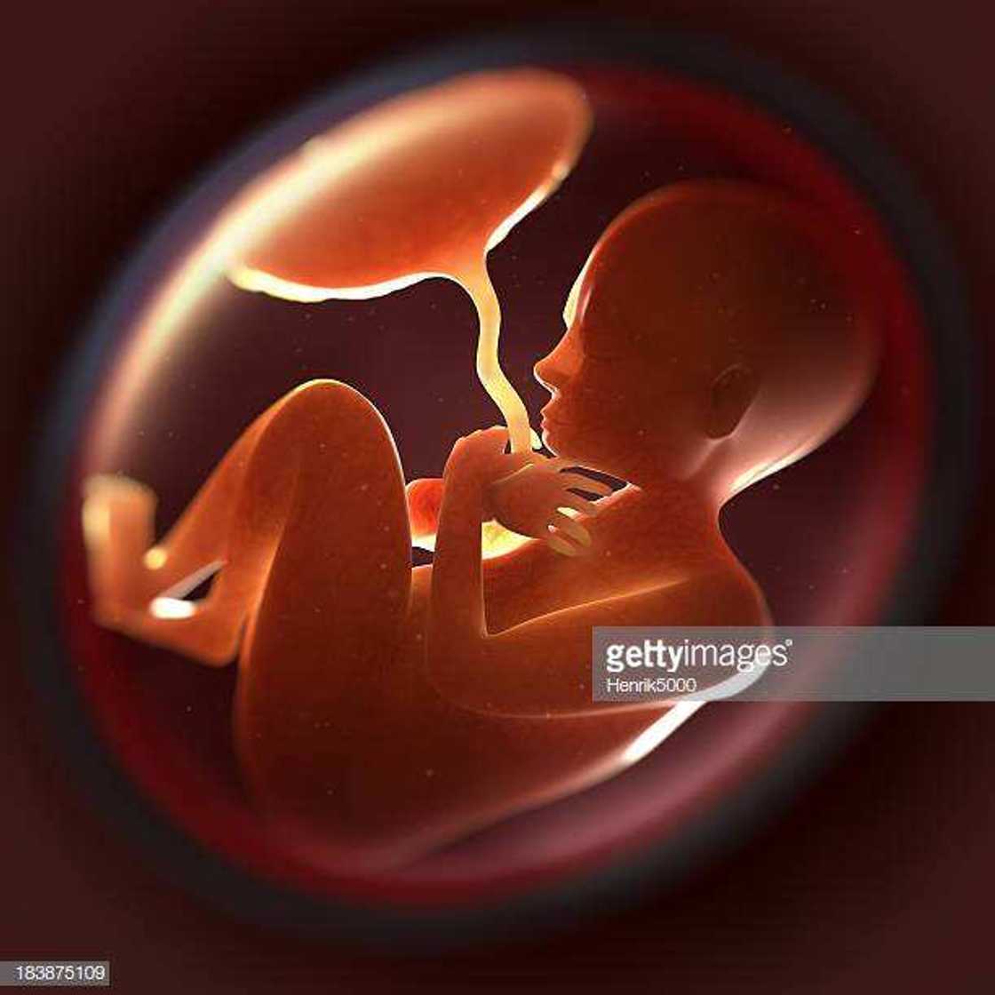 Kasar Argentina ta zama kasa ta farko a duniya da ta halatta zubar da ciki Kasar Argentina ta zama kasa ta farko a duniya da ta halatta zubar da ciki