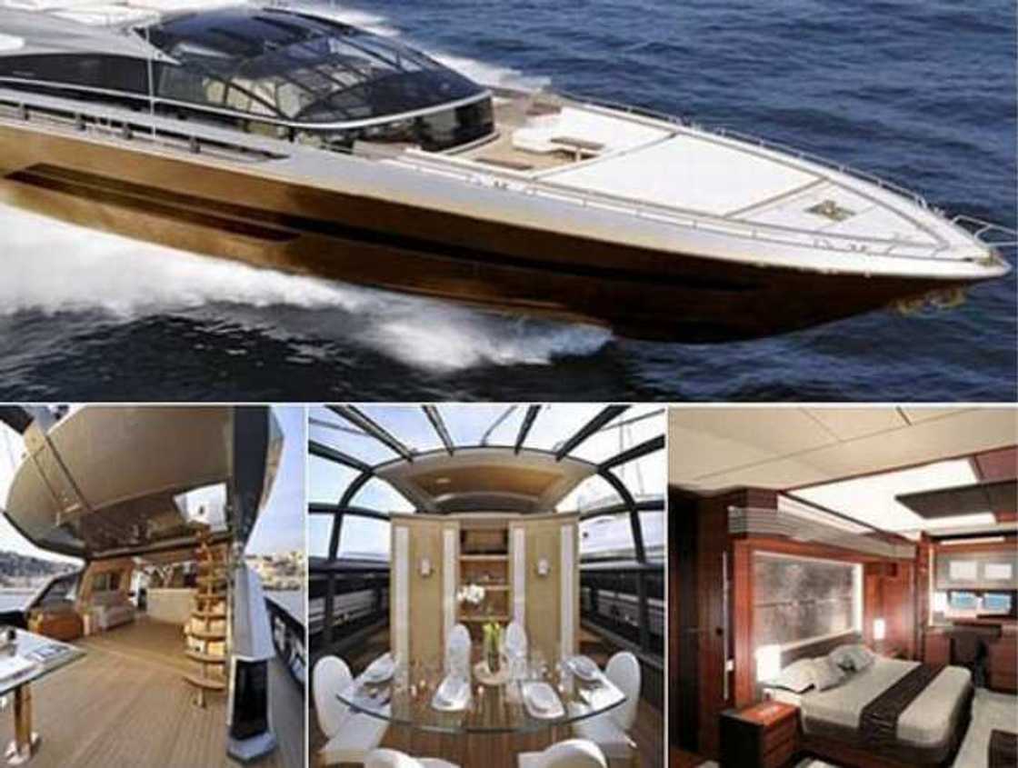 Most expensive thing on earth Most expensive thing on earth