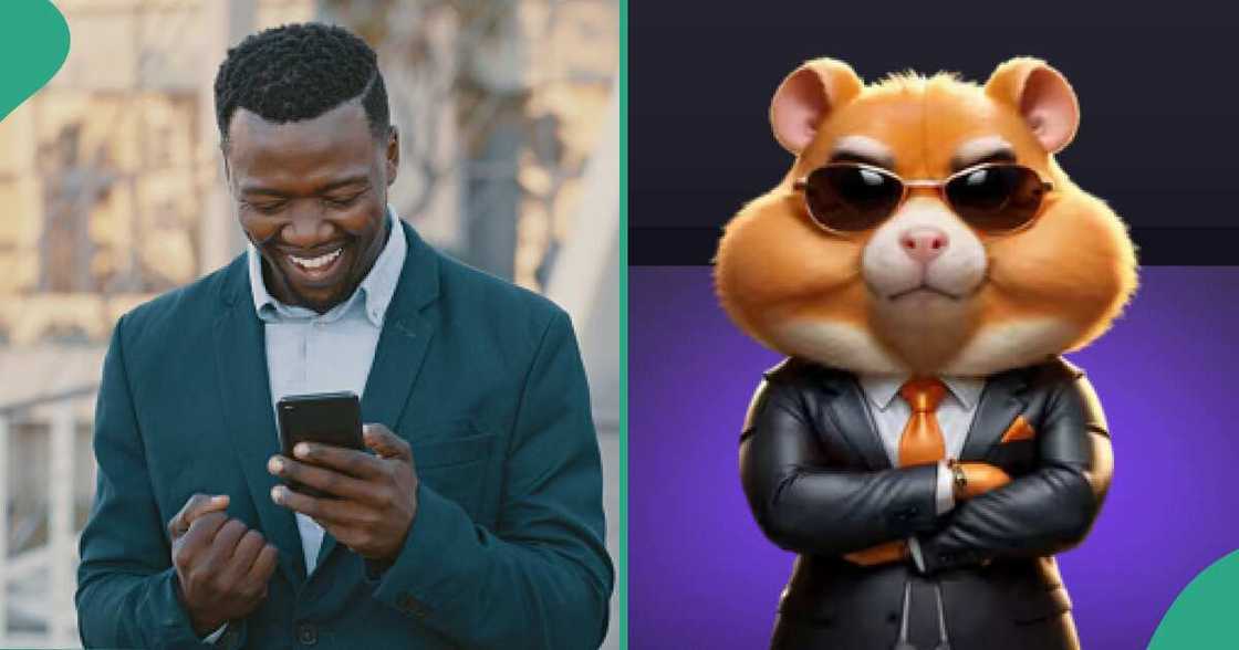 Reactions as Hamster Kombat shares interesting update for Nigerians regarding its airdrops Reactions as Hamster Kombat shares interesting update for Nigerians regarding its airdrops