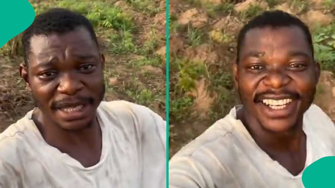 Graduate dumps his certificate, returns to village to begin farming. Graduate dumps his certificate, returns to village to begin farming.