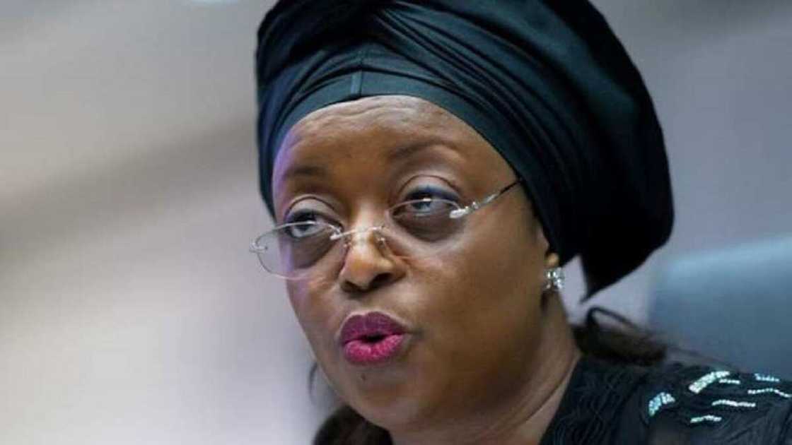 FG ta fara sayar da gwala-gwalen Diezani, gidajen Badeh da wasu kayayyakin da ta kwace