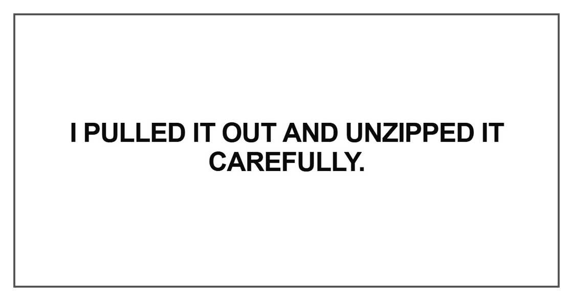 I pulled it out and unzipped I pulled it out and unzipped