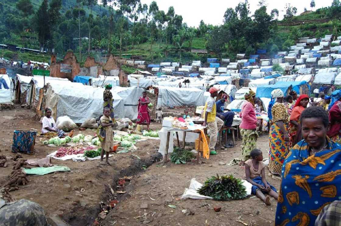 Boko Haram: CSOs commend FG for resettlement of displaced persons