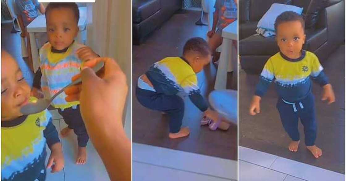 Twin boys Twin boys