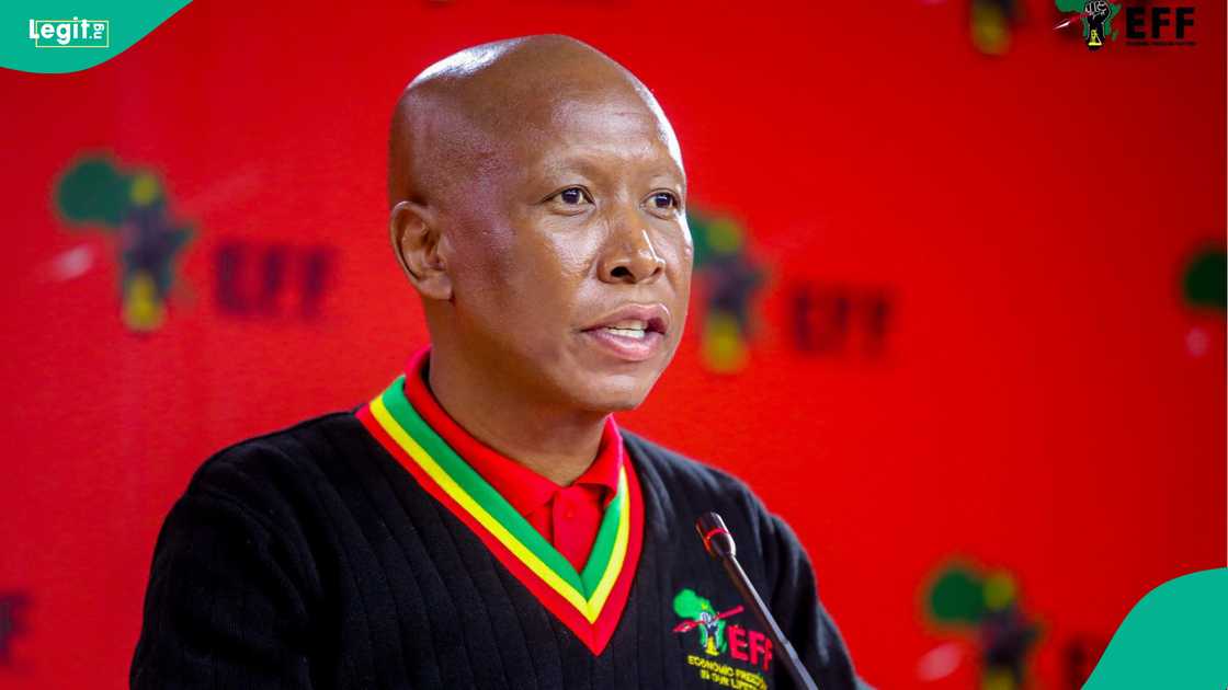 Julius Malema Says He Would Choose Nigeria Over US Visa