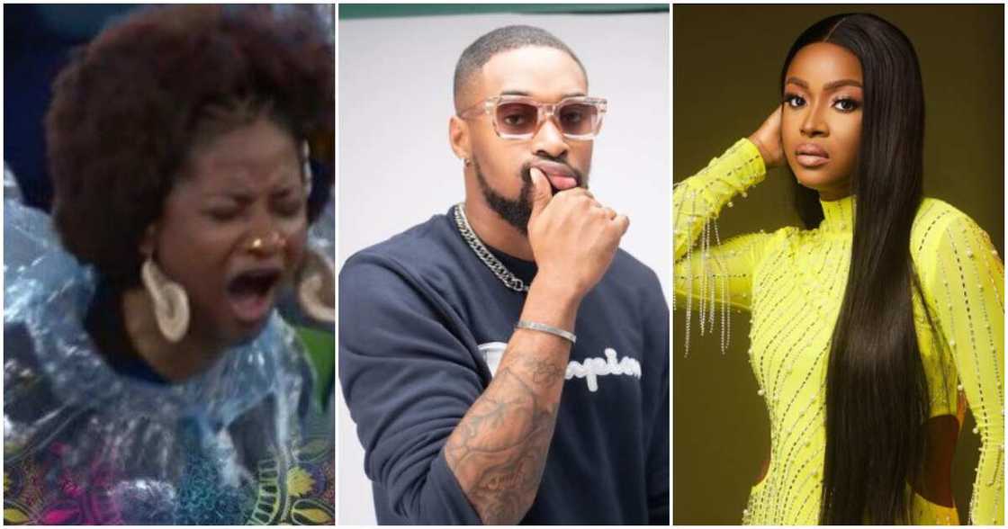 BBNaija: Phyna becomes Head of House. Sheggz and Bella nominated.