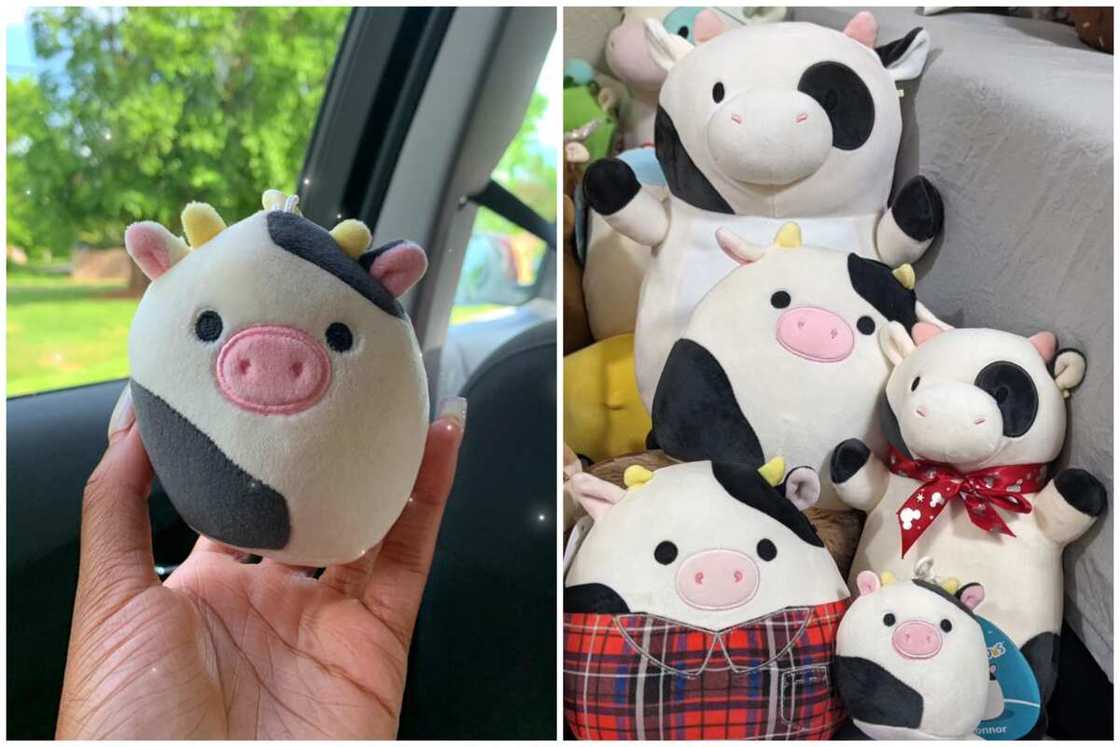 Rare squishmallows Rare squishmallows