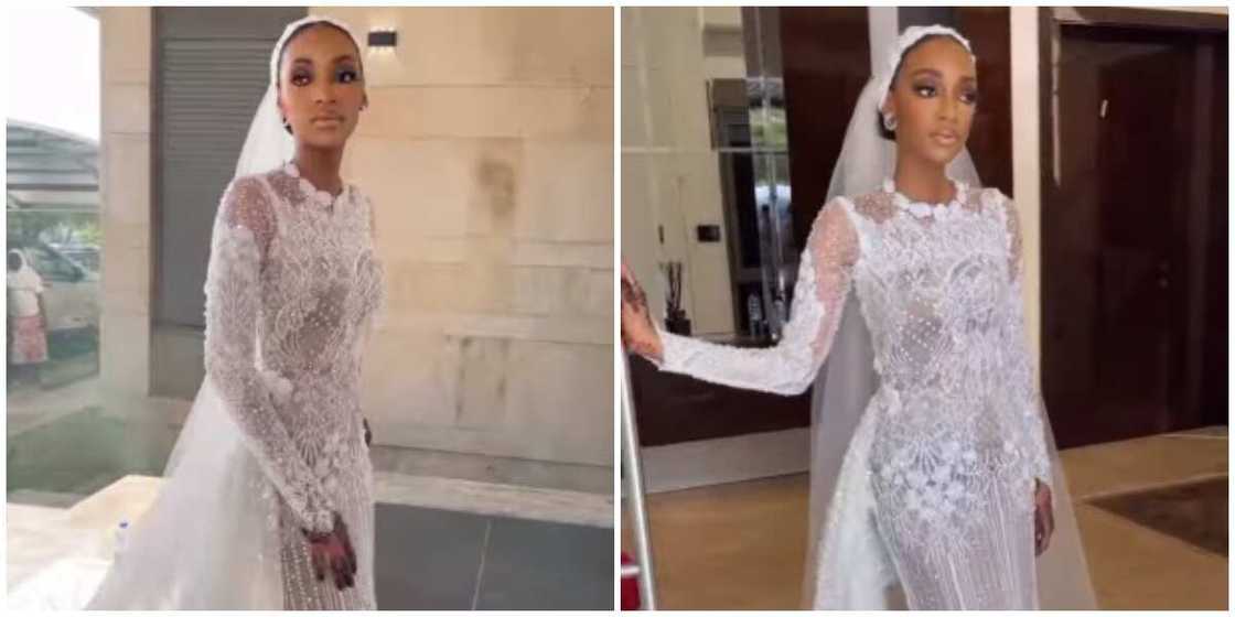 wedding dress/bridal fashion wedding dress/bridal fashion