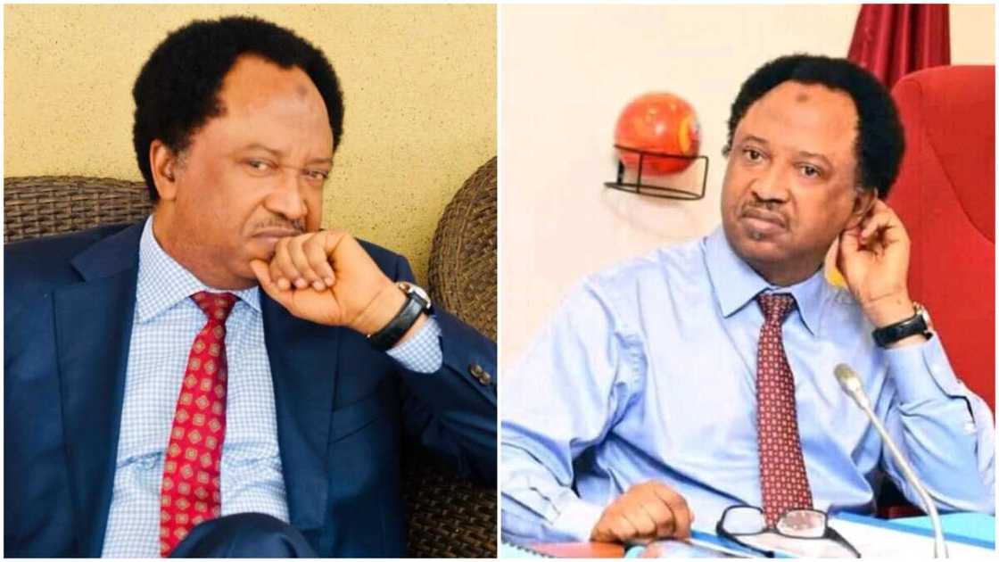 Shehu Sani: 4 Things Former Kaduna Senator Stands to Gain by Joining PDP Shehu Sani: 4 Things Former Kaduna Senator Stands to Gain by Joining PDP