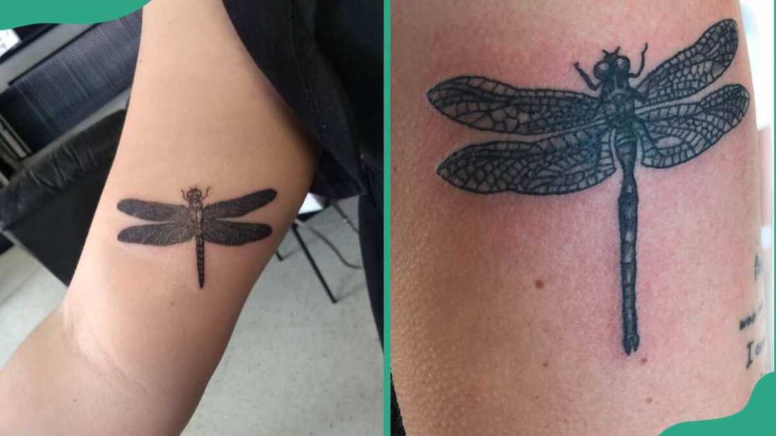 Black dragonfly tattoo Black dragonfly tattoo