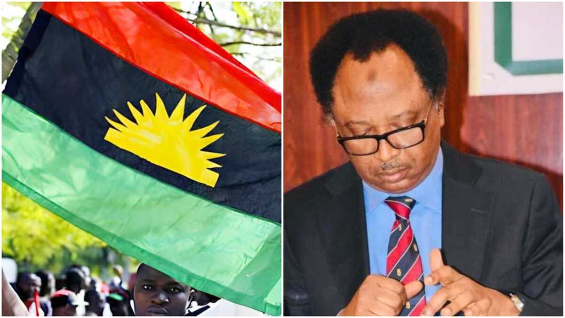 Shehu Sani/Sit-At-Home/Southeast/Arewa/Kaduna Shehu Sani/Sit-At-Home/Southeast/Arewa/Kaduna