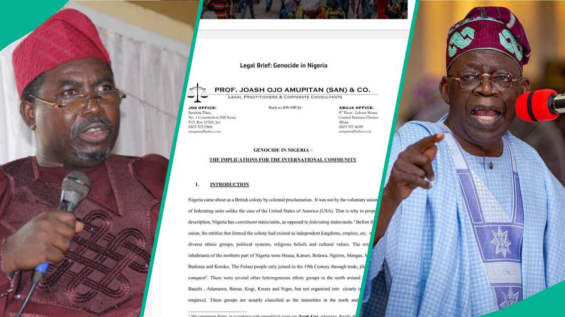 Genocide claim: FG silent on Amupitan’s legal brief