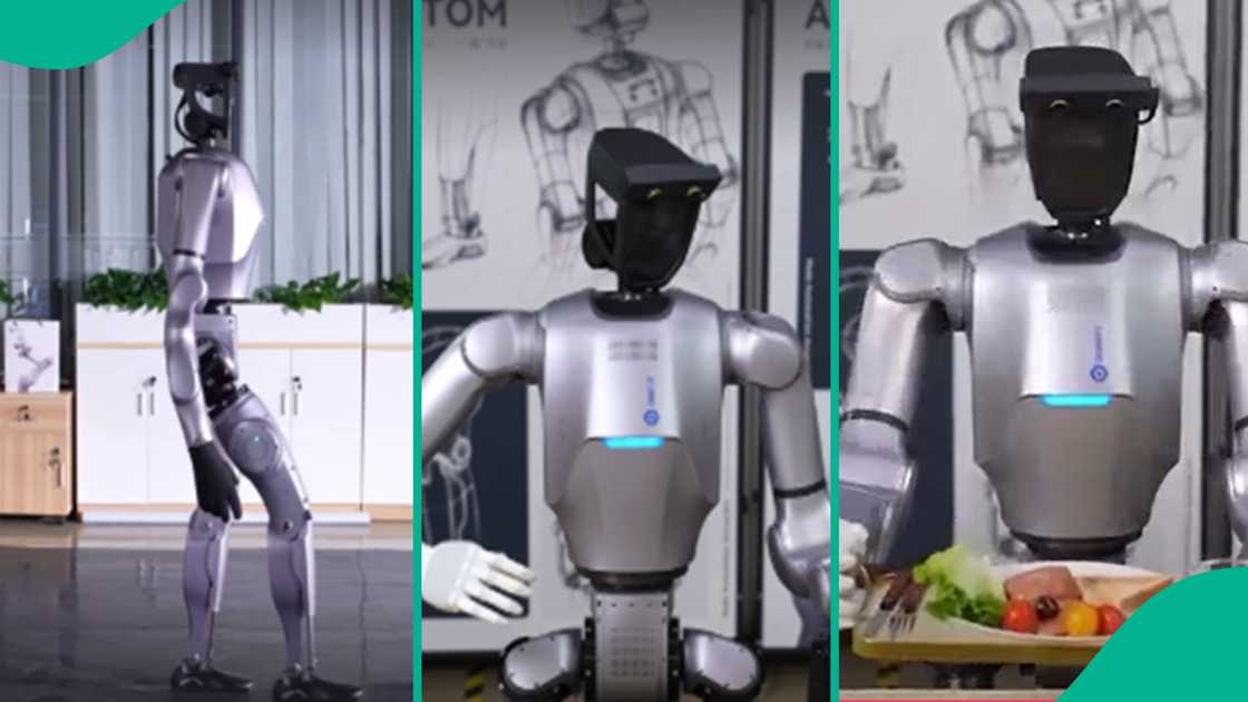 Chinese company Dobot unveils humanoid robot. Chinese company Dobot unveils humanoid robot.
