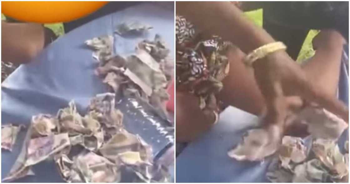 MC Edo Pikin shares video of party thief MC Edo Pikin shares video of party thief
