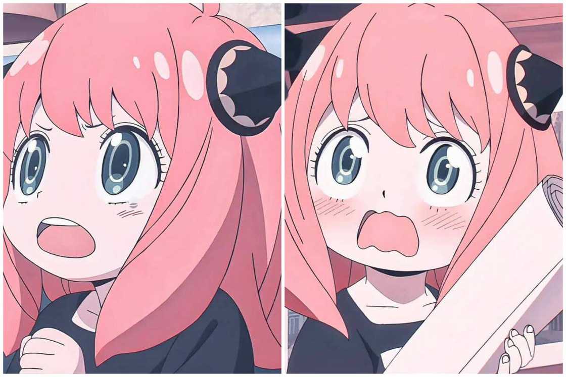 Anya Forger from Spy x Family Anya Forger from Spy x Family