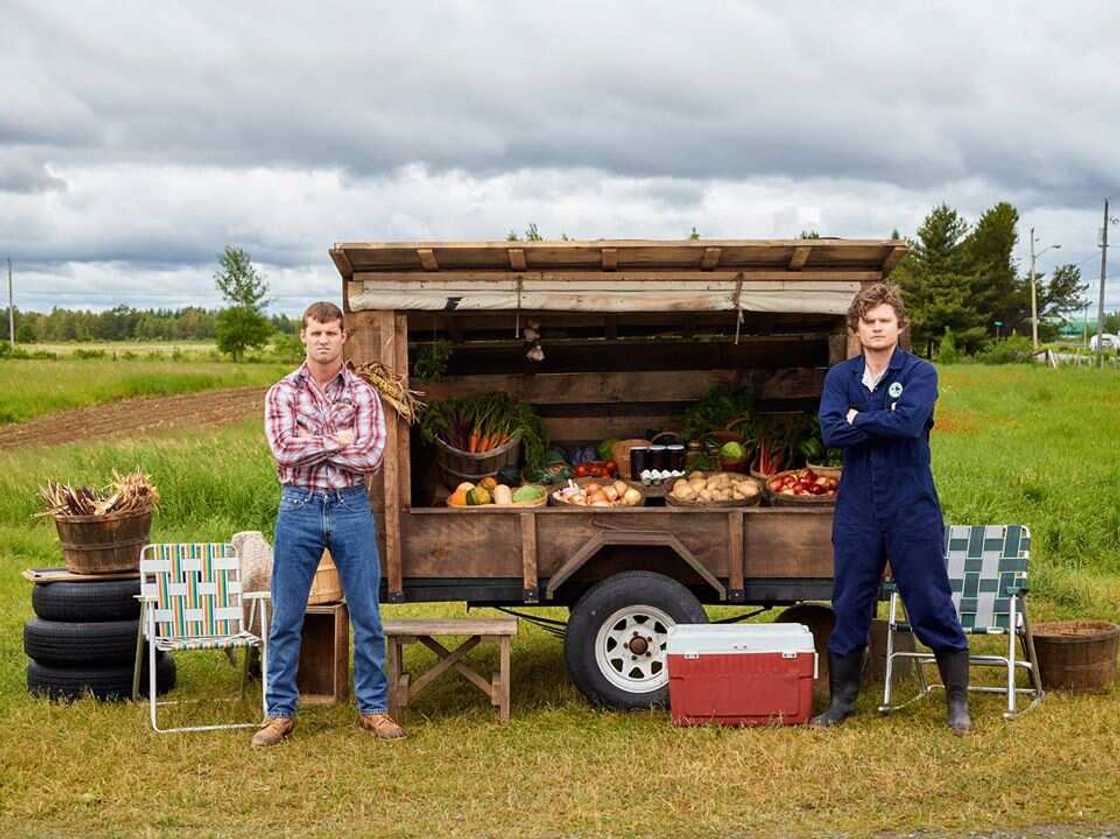letterkenny sayings letterkenny sayings