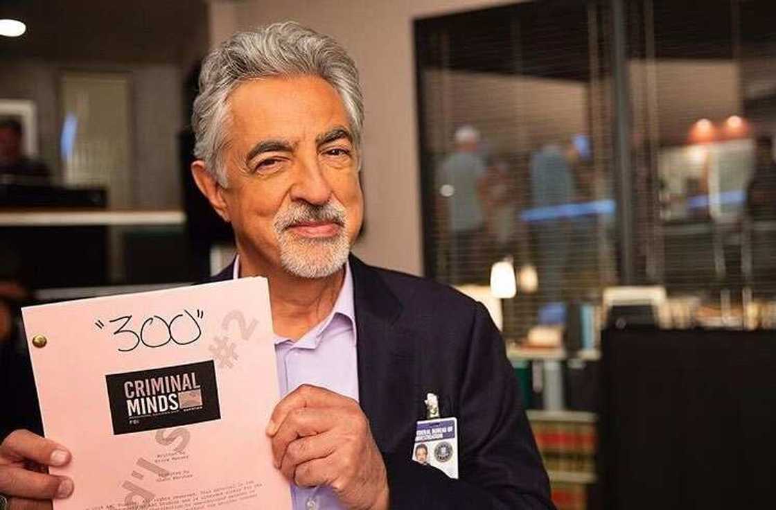 criminal minds original cast criminal minds original cast