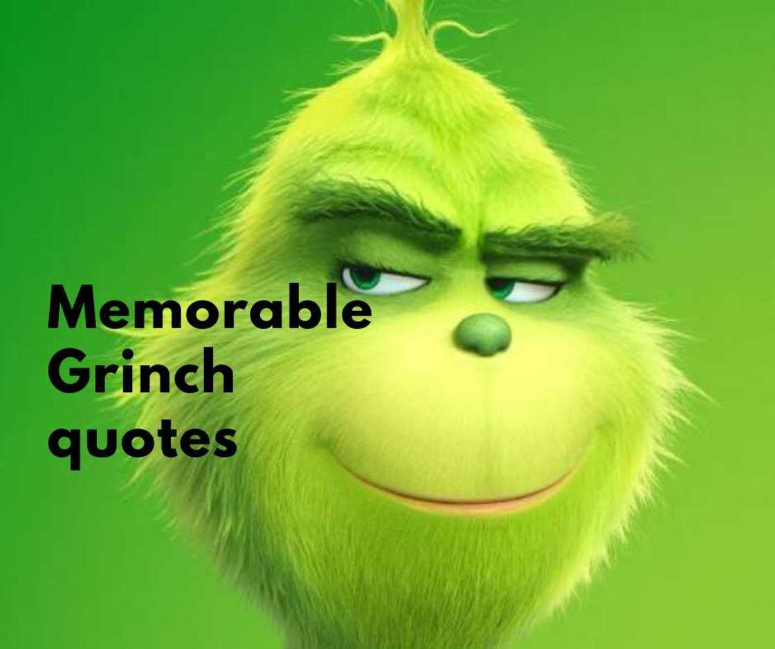 Grinch quotes Grinch quotes