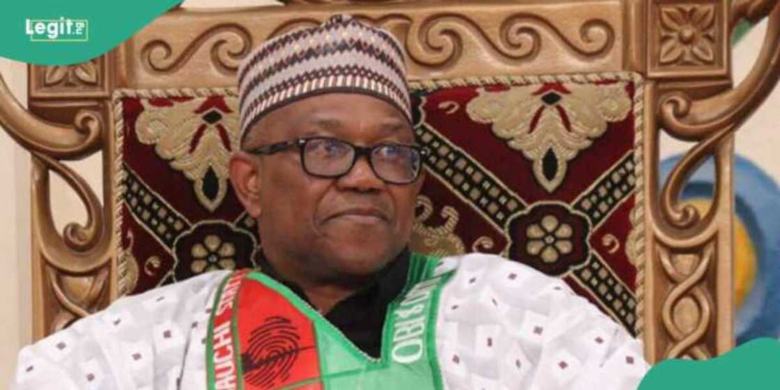 Fasto Naomi ta fadi sabon wahayi akan Peter Obi