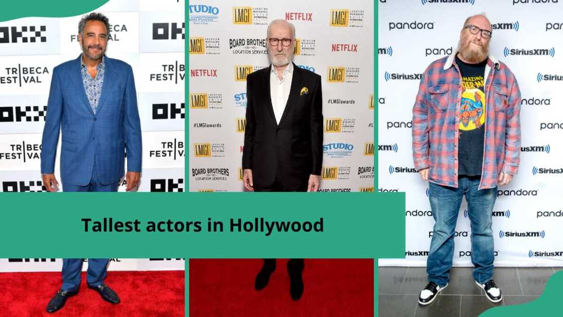 tallest actors in Hollywood tallest actors in Hollywood
