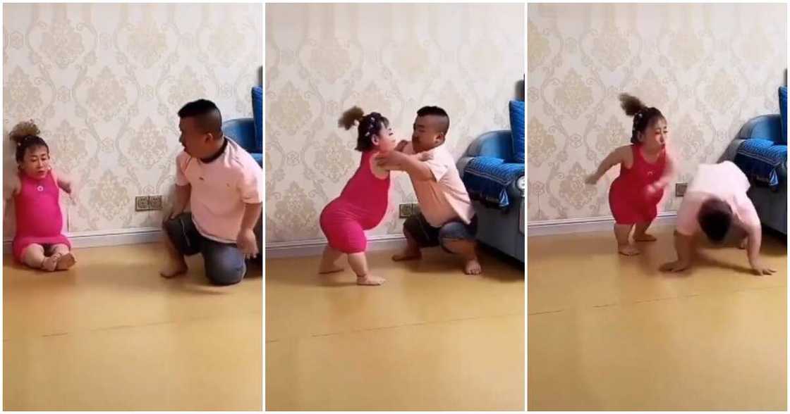 Small-sized couple, fight dirty, pregnant Small-sized couple, fight dirty, pregnant