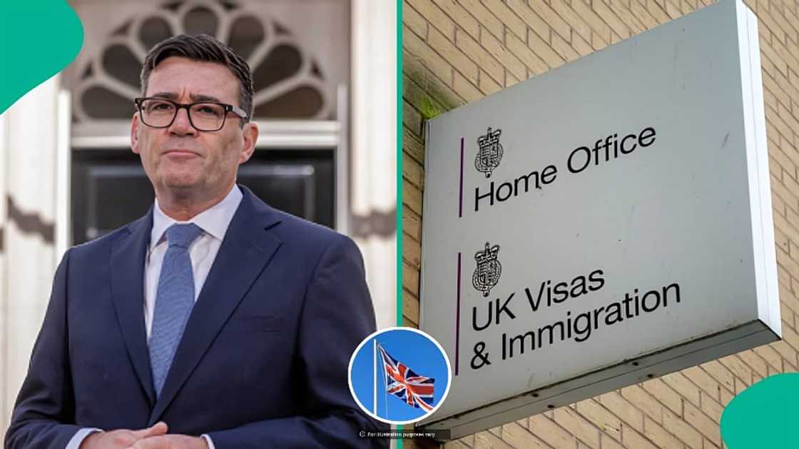 UK publishes rule for visitor visa holders, explains when work is allowed UK publishes rule for visitor visa holders, explains when work is allowed