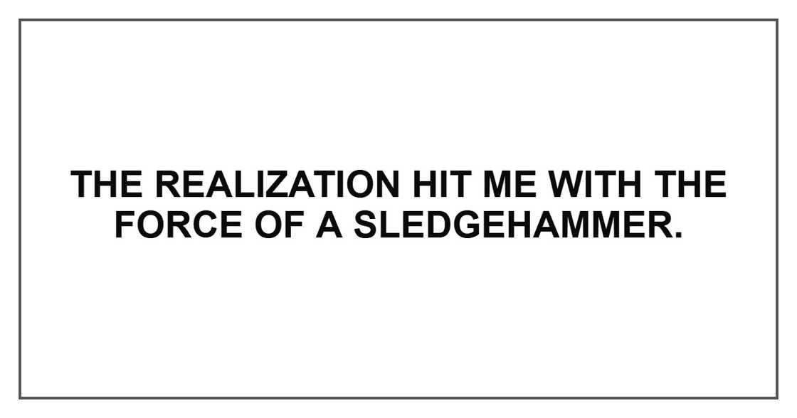 The realization hit me with the force of a sledgehammer. The realization hit me with the force of a sledgehammer.
