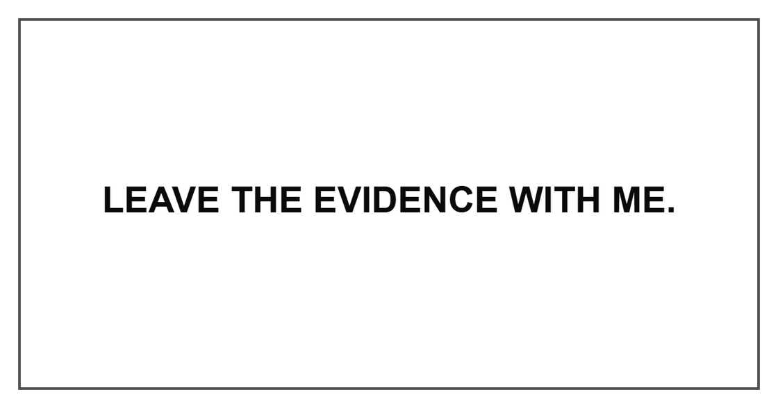Leave the evidence with me.