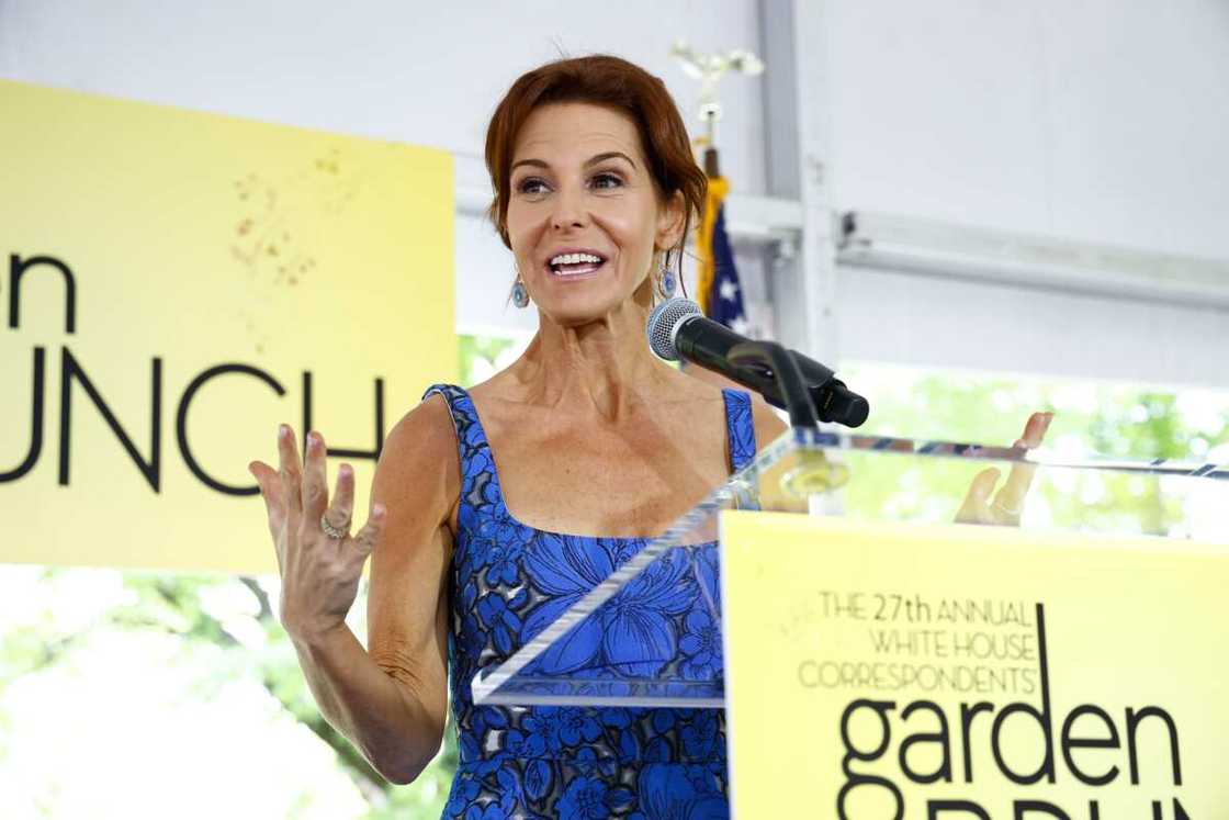 MSNBC female anchors MSNBC female anchors